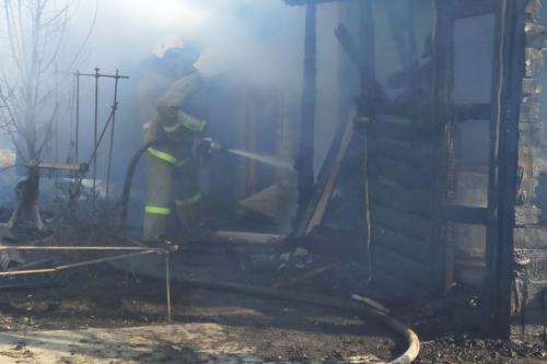 Фото: infovoronezh.ru