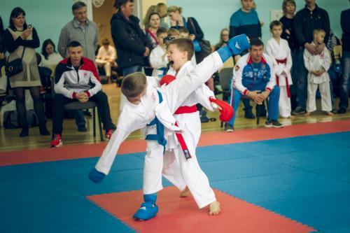 В Воронеже юные каратисты сразились за медали на Областном турнире